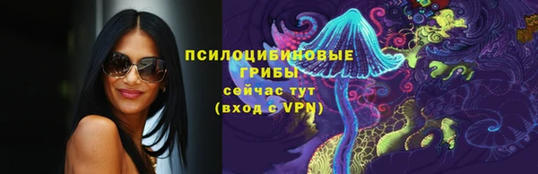 кокс Богородск