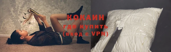 дживик Белокуриха