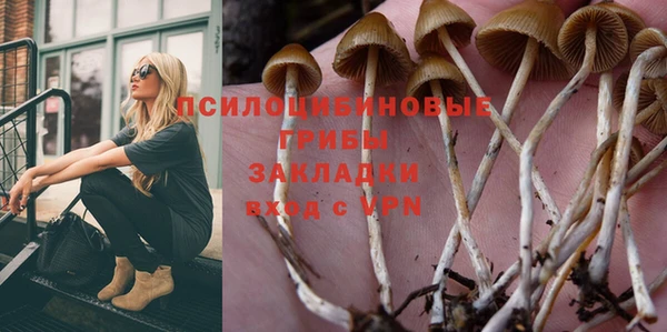 мет Богданович